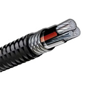 Two Conductor Aluminum Jacketed MC Cable and Grounding Conductor 600V