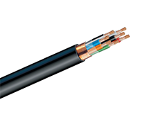 Type 20/10 Control Cable 600V